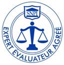 logo-snpi-expert